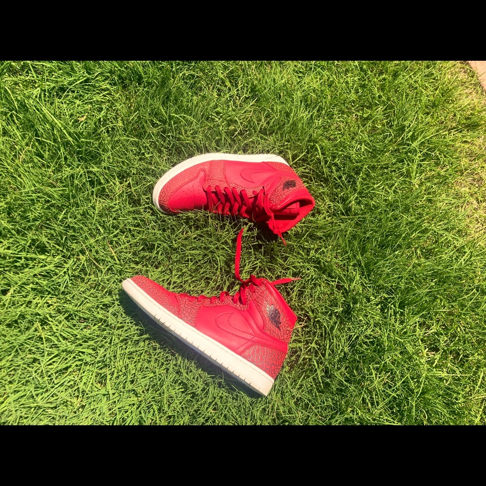 Jordan 1 elephant print